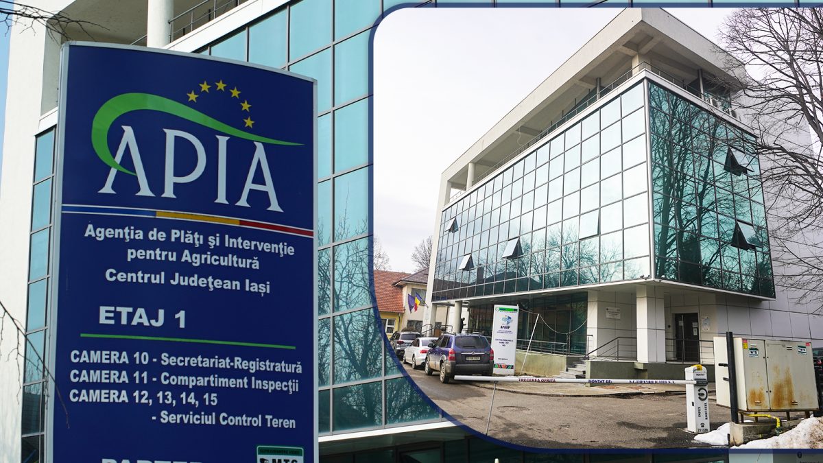 Ce bani primesc fermierii din Iași săptămâna aceasta? APIA virează două milioane de euro în conturile beneficiarilor
