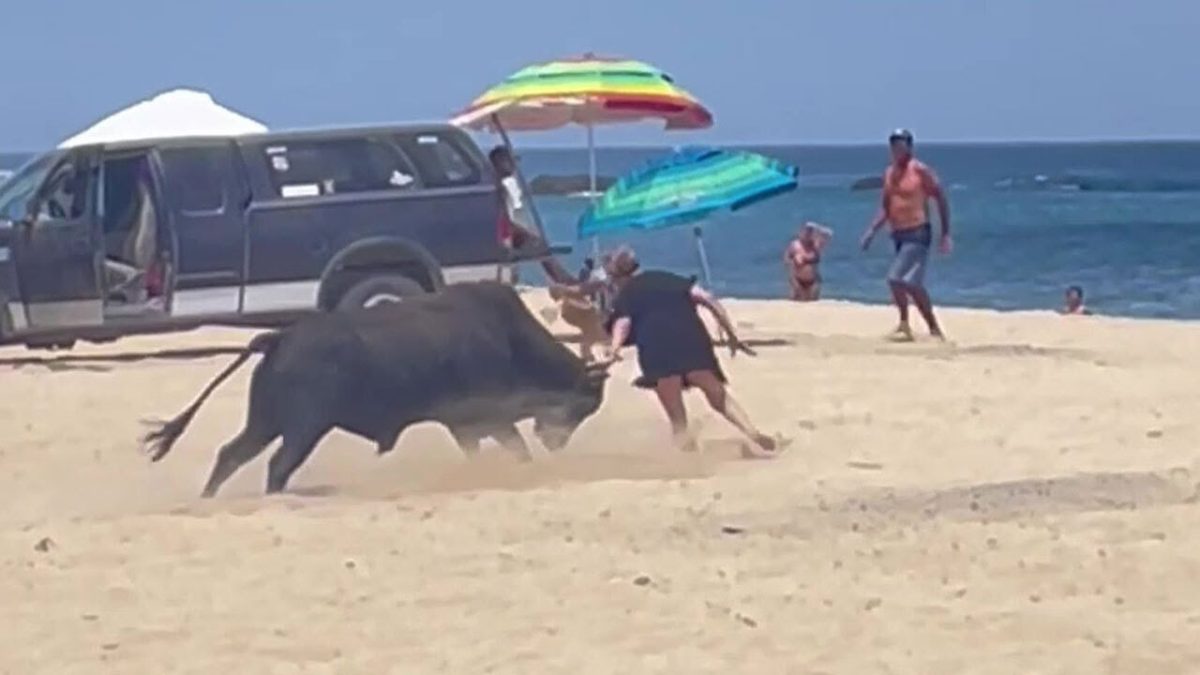 Un taur a atacat o femeie aflată pe plajă. Cum a reușit aceasta să scape de animalul furios- VIDEO