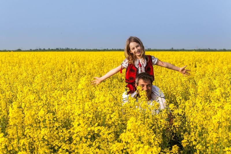 Te pozezi în lanul de rapiță? Iată ce amendă riști potrivit Codului Rutier