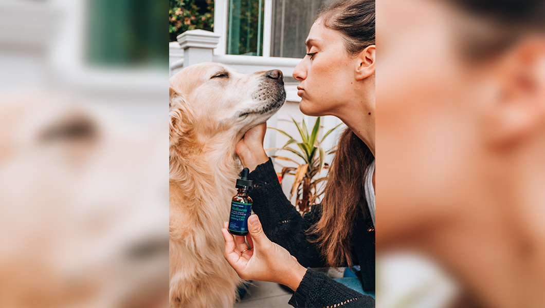 Descopera uleiul CBD pentru animale (P)