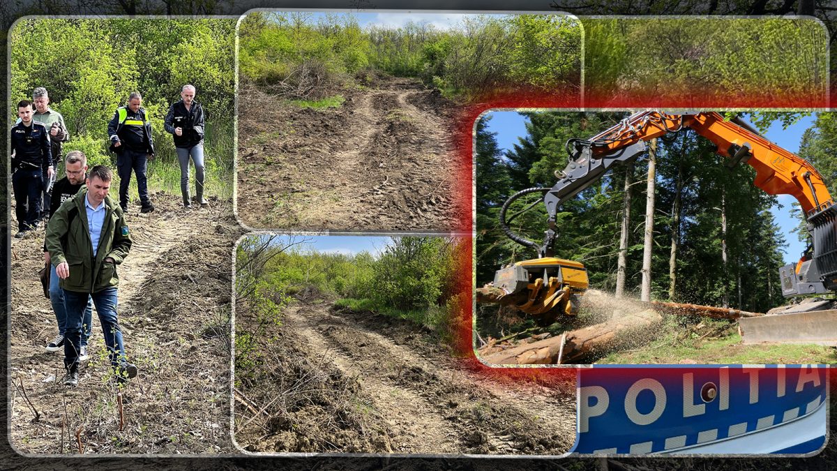 Masacrul din pădurea Căprița, Iași, a fost demascat! Ce riscă proprietarul care a încălcat legea – FOTO