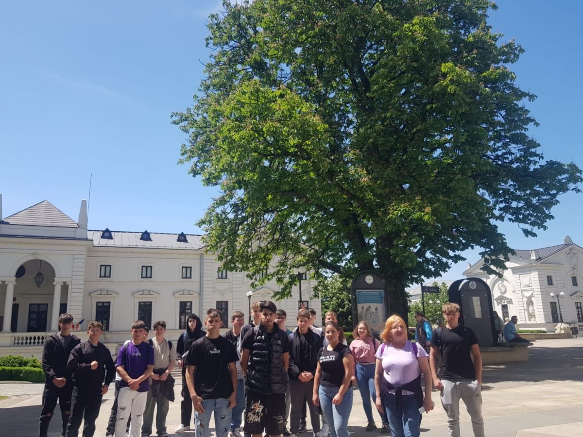 Zilele Mediului la Iaşi! APM Iași lansează un tur ghidat al arborilor monument din centrul orașului – FOTO