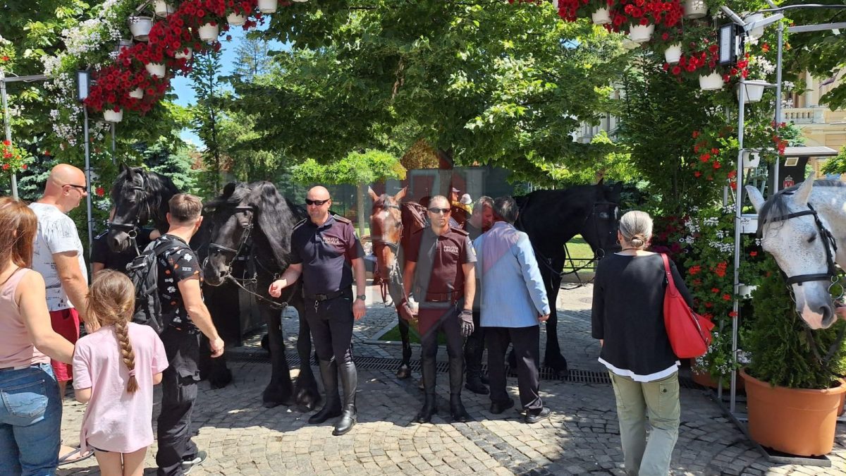 Ziua Poliției Locale la Iași! Pe bulevardul Ștefan cel Mare, trecătorii se opresc pentru a admira echipajele instituției – GALERIE FOTO