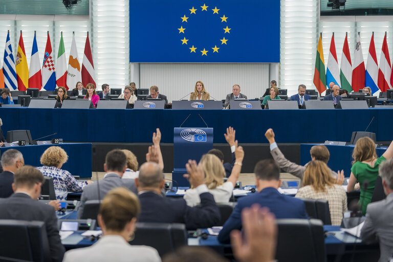 Alegerile privind Parlamentul European. Salariile de mii de euro și obligațiile oamenilor pe care îi votăm duminică