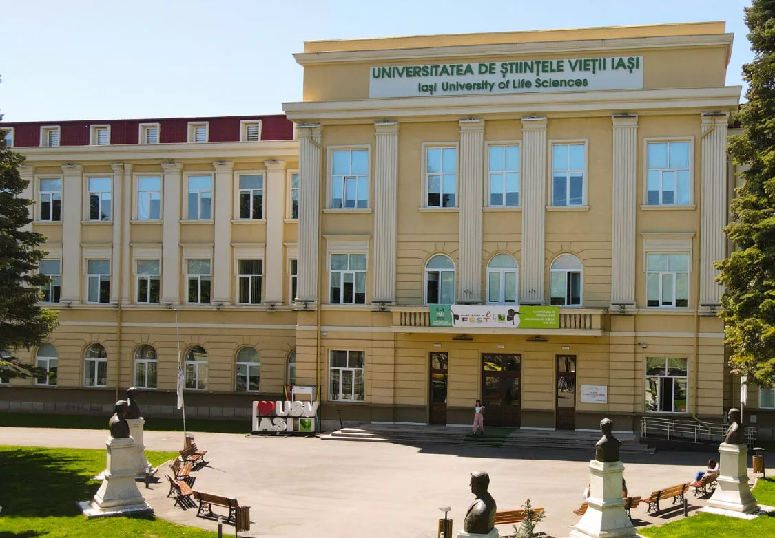 Școală de vară „Viitor student la USV Iași”