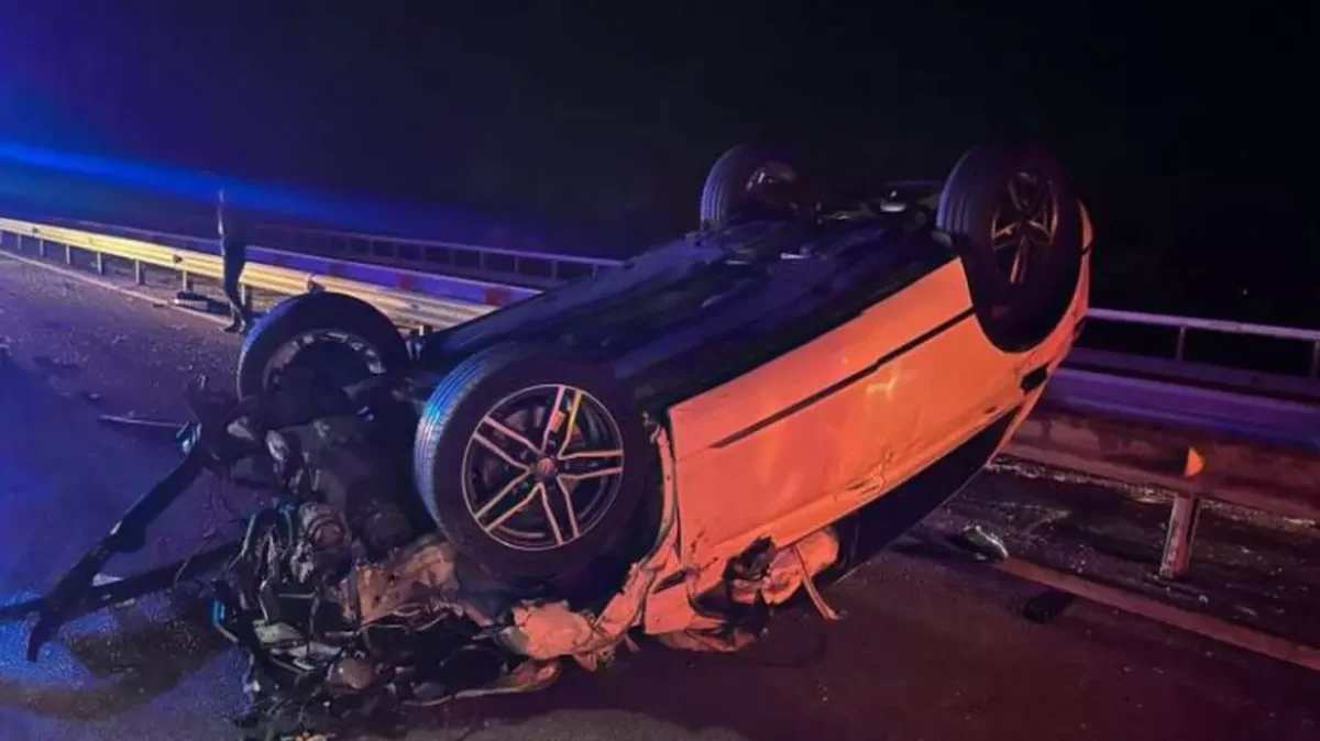 Două maşini au lovit o bovină pe autostrada A3, în județul Prahova. Unul dintre autoturisme s-a răsturnat