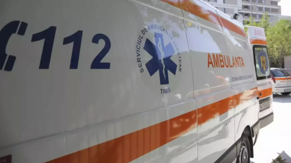 Cinci bărbați au ajuns de urgență la spital și 50 de oi au murit după ce la o fermă din Argeș s-a folosit o substanţă pentru combaterea scabiei