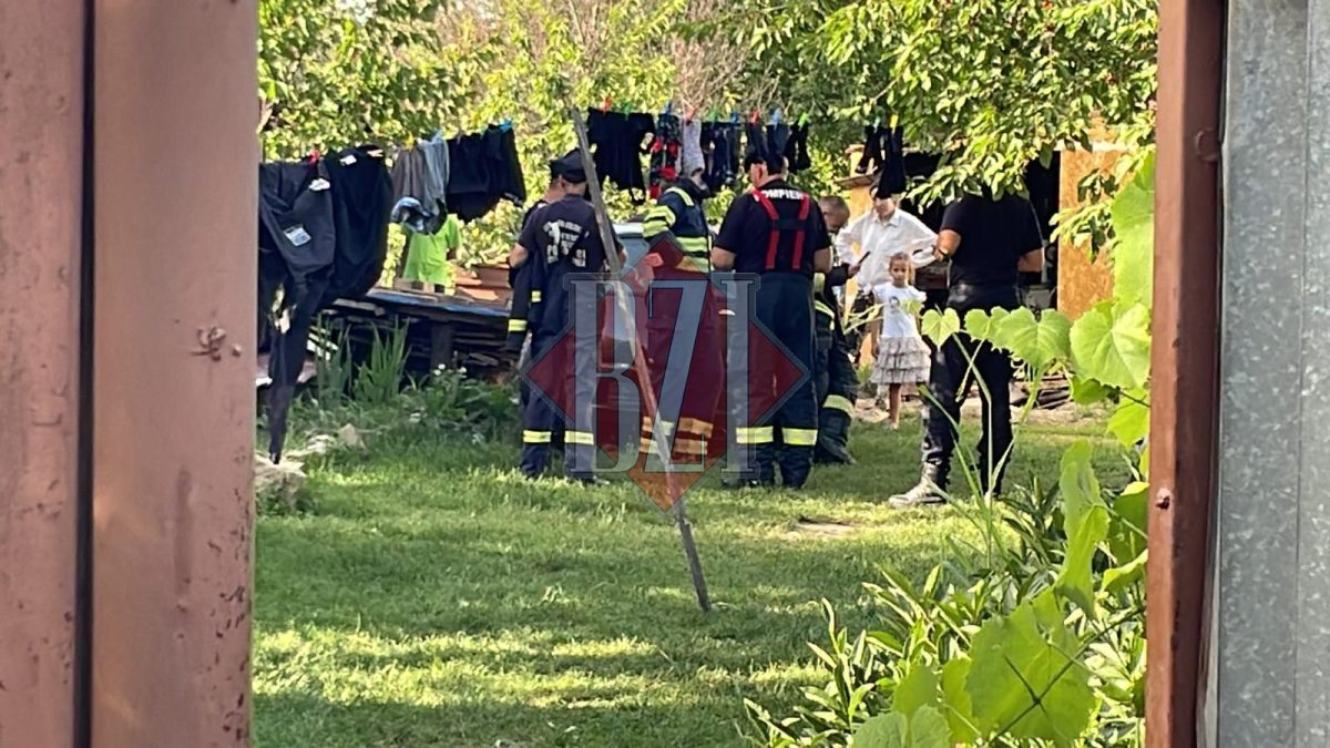 Intervenție inedită a pompierilor din Iași. Au salvat trei animale, dintr-un beci din Ciurea, pe care unii nu le-au văzut în viața lor în realitate – FOTO/VIDEO, UPDATE