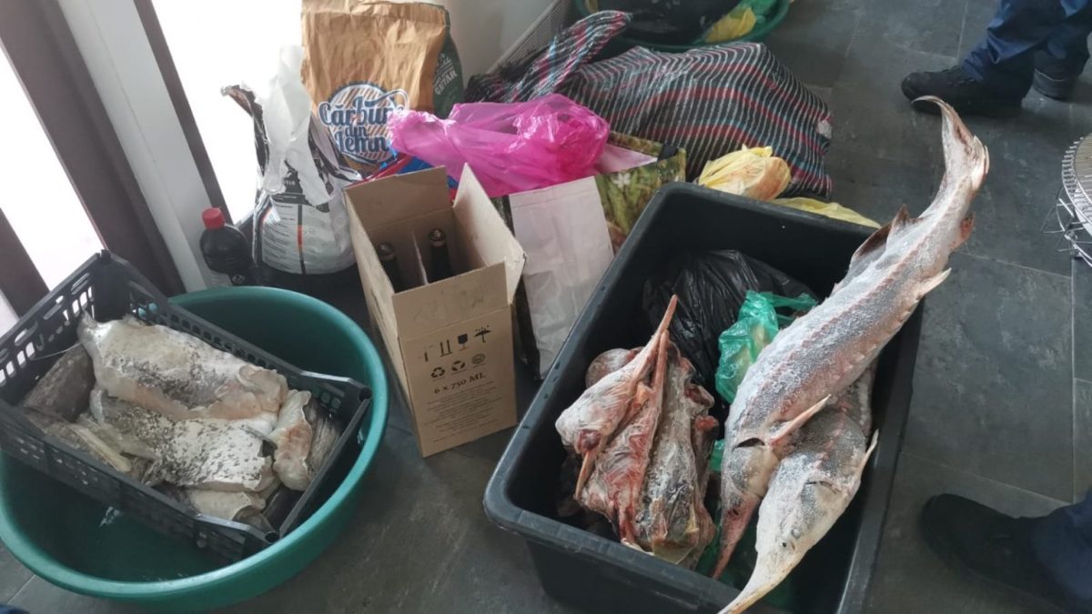 Captură impresionantă făcută de polițiștii din Galați la o persoană bănuită că practica braconajul piscicol