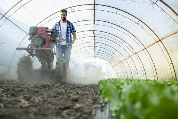 Alegerea motocultorului Ideal: Ghid Complet pentru grădinari și fermieri