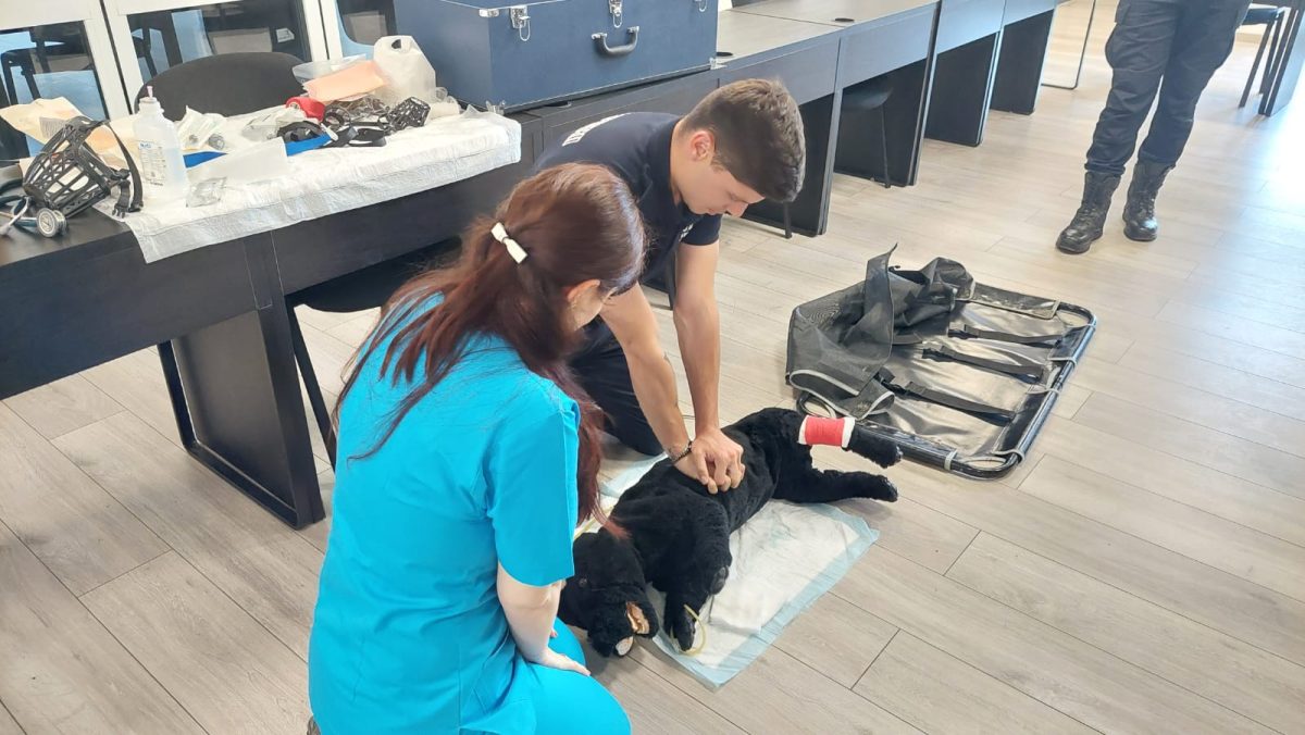 Și animalele au nevoie de eroi, cursuri de salvarea animalelor din medii ostile, dedicate pompierilor