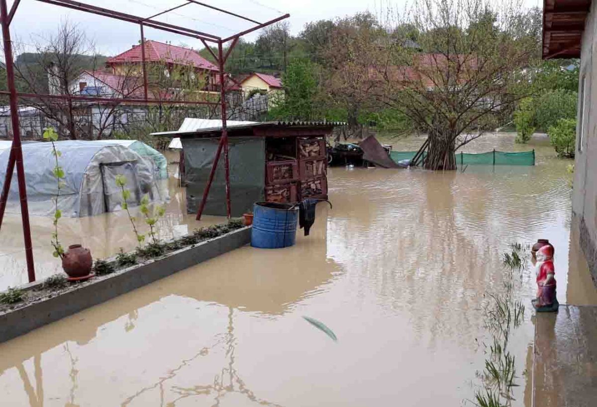 Ploile și vântul au inundat curți și au rupt copaci, la Iași. Pompierii au intervenit – UPDATE