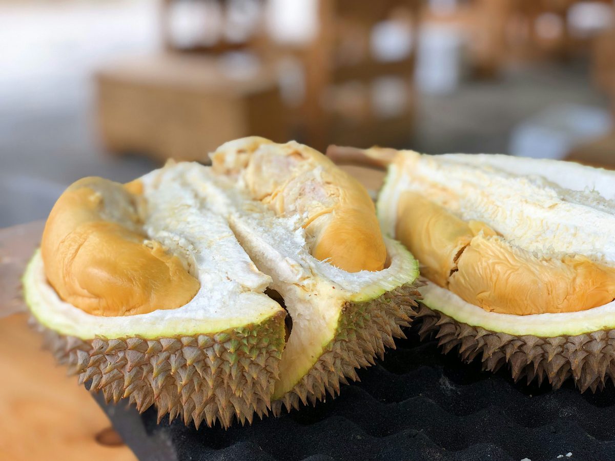 Fructul durian: „Regele fructelor” cu un miros controversat, dar bogat în beneficii