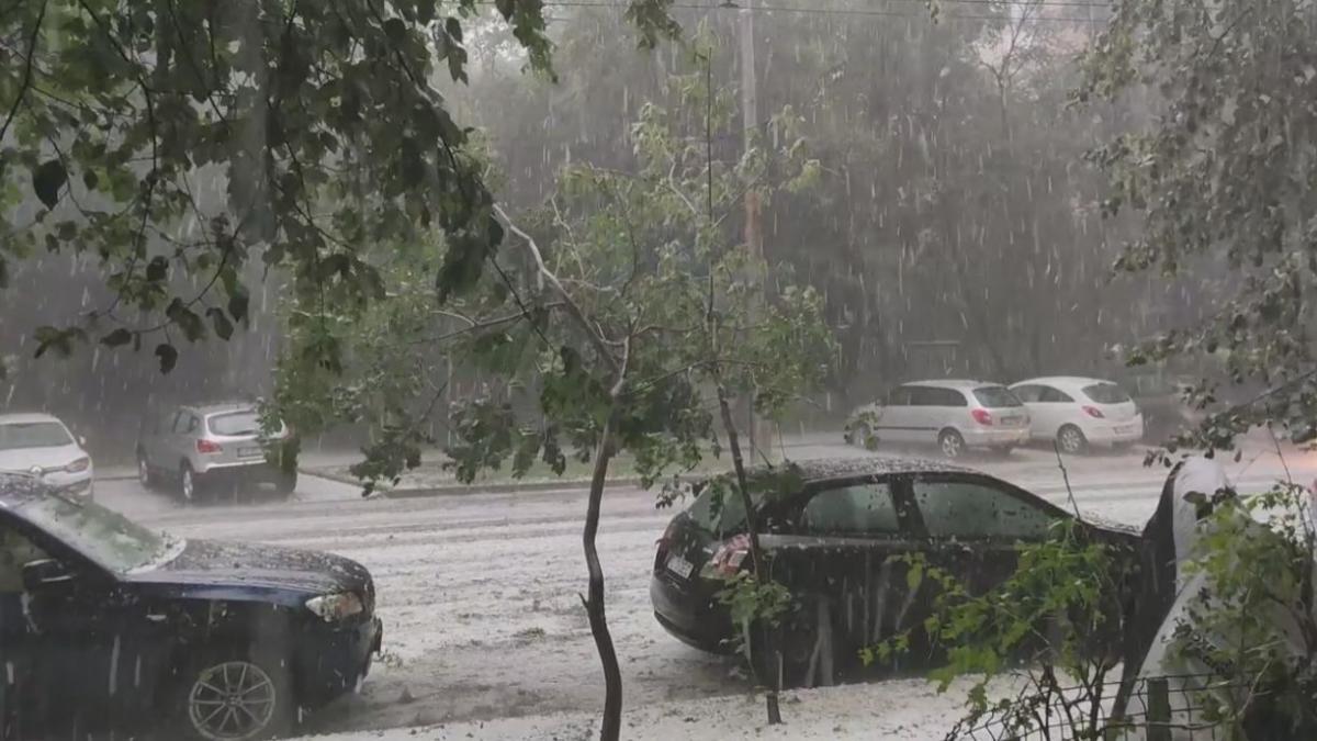 Prăpăd în București în urma fenomenelor meteo, zeci de mașini distruse din cauza copacilor căzuți