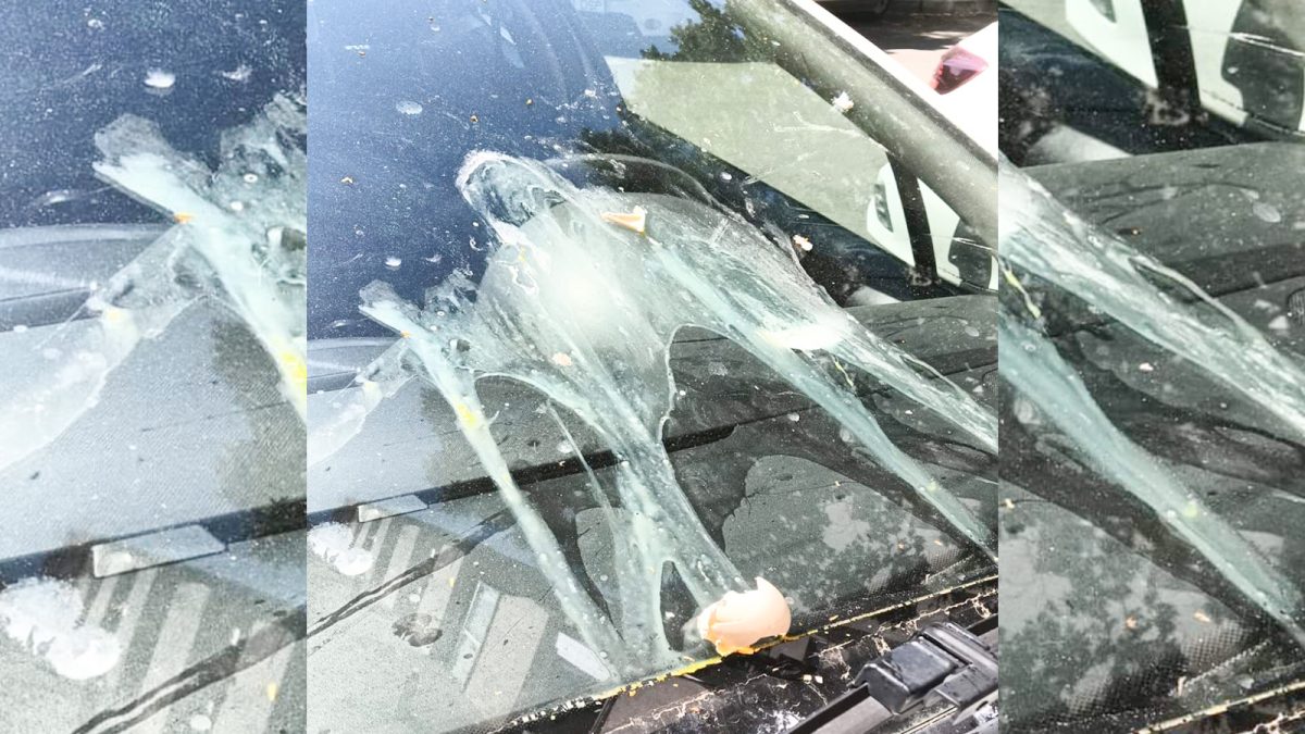 Nu de amenzi ar trebui să se teamă șoferii care parchează neregulamentar, ci de furia locatarilor. Iată cum și-a găsit mașina un ieșean – FOTO