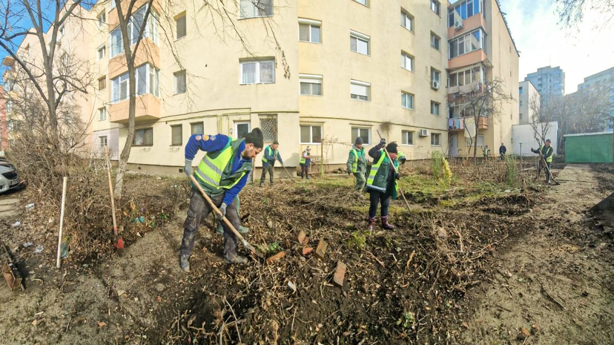 O firmă din Iași vrea contractul de reabilitare a spațiilor verzi din Târgu Frumos. Proiectul are o valoare de peste 1,6 milioane de lei – FOTO
