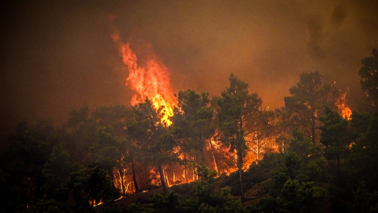 Peste 60 de incendii au izbucnit în Grecia! Două localități de lângă Atena au fost evacuate – VIDEO
