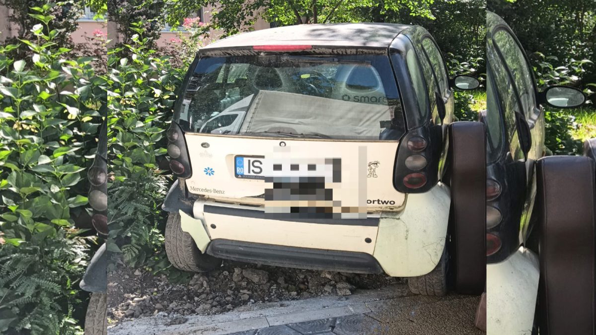 Un ieșean și-a parcat mașina direct între copaci ca să nu fie văzut. Polițiștii au „pescuit” imediat automobilul dintre tufișuri – FOTO
