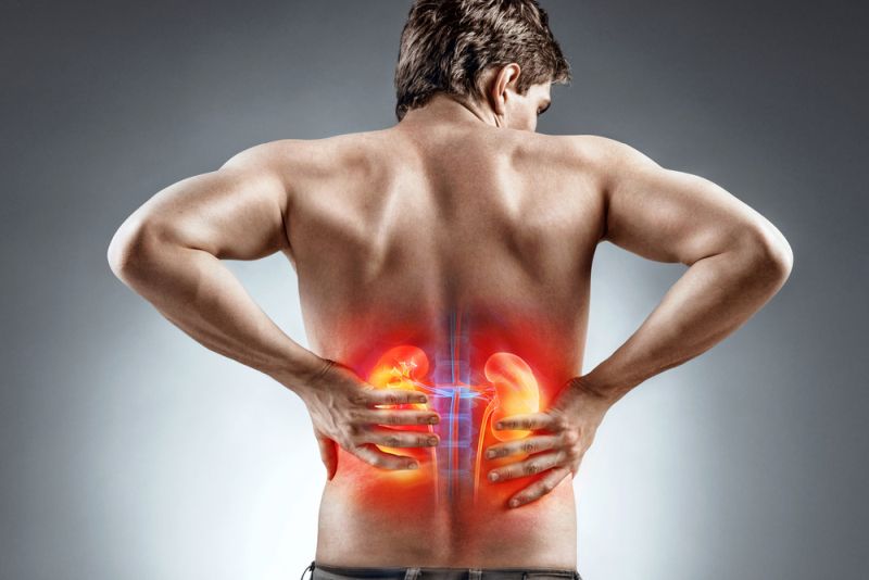 Medicamente pentru rinichi inflamat – Cum se manifestă durerea renală