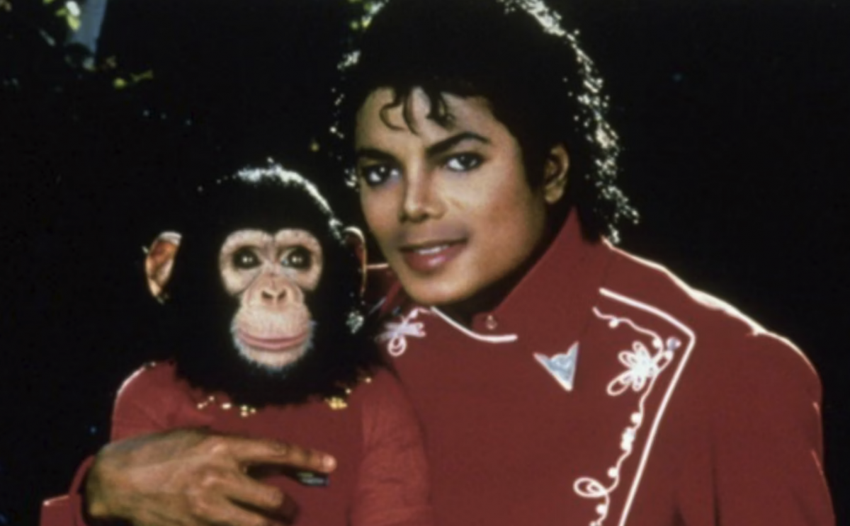 Cimpanzeul lui Michael Jackson încă trăiește! Bubbles este îngrijit din banii moșteniți de la marele artist
