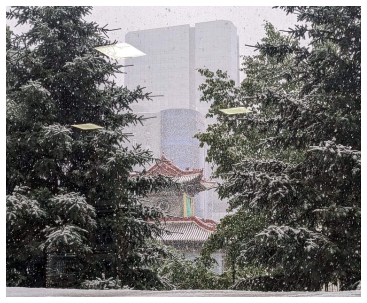 Fenomen meteorologic îngrijorător! Țara în care a nins în luna iunie