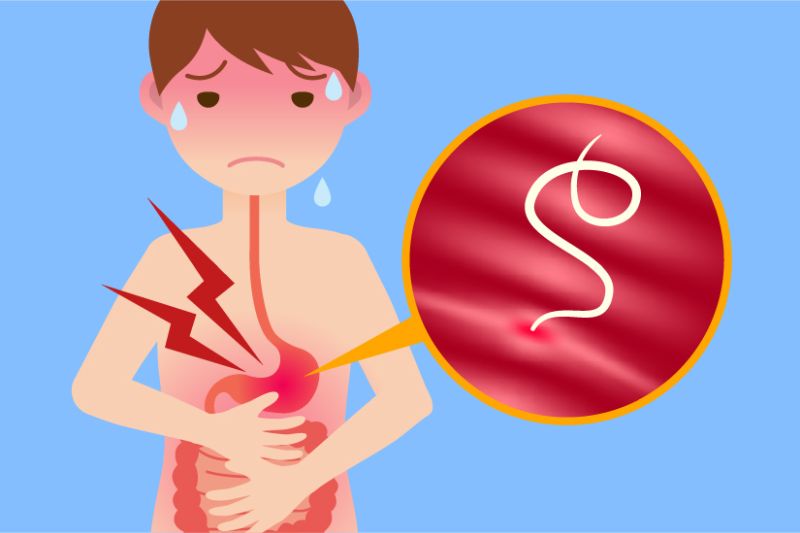 Paraziți intestinali la copii. Problema cu care se confruntă cei mici