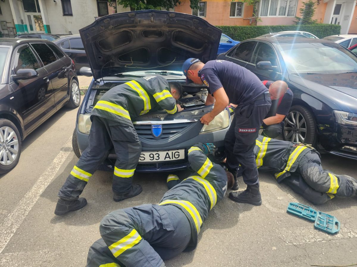 Pisică salvată de pompierii ieșeni! Felina era blocată în zona compartimentului motor al unui autoturism – FOTO