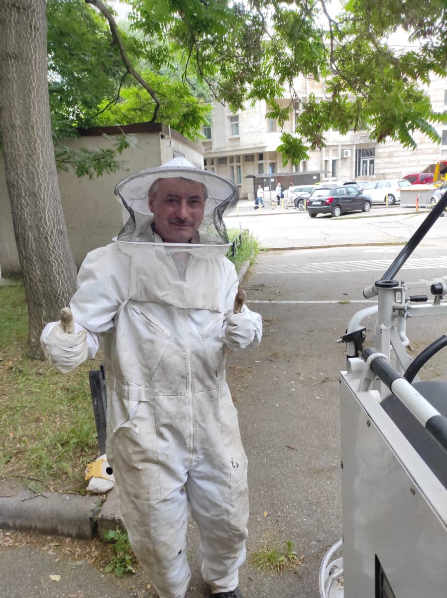 Un echipaj pentru salvări de la înălțime intervine pe strada Anastasie Panu pentru îndepărtarea unui roi de albine de pe o clădire