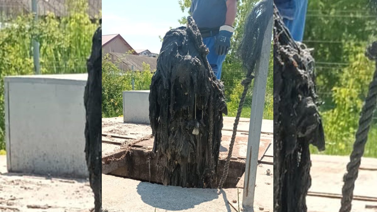 Muncitorii de la ApaVital au rămas fără cuvinte când au făcut o verificare la o stație de pompare din Iași. Iată ce au descoperit