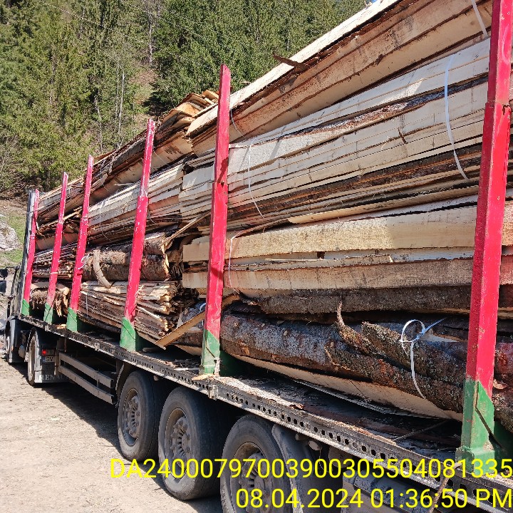Confiscări de 13500 mc de materiale lemnoase în urma unui control efectuat de către Garda Forestieră Suceava la un operator economic din Broșteni