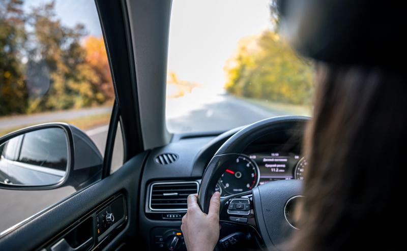 Țara în care primești amendă dacă ți-a intrat o viespe în mașină în timp ce conduci. Iată motivul uluitor