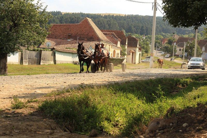 Amendă pentru cei care stau la țară și vor să își curețe curtea. Iată situațiile în care sătenii au nevoie de aviz