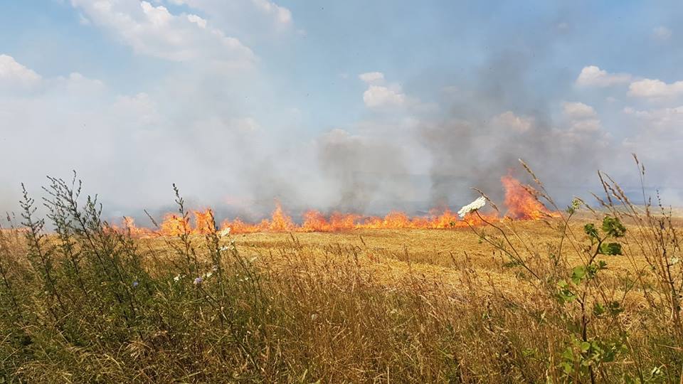 Un nou incendiu de vegetație uscată, în comuna Movileni