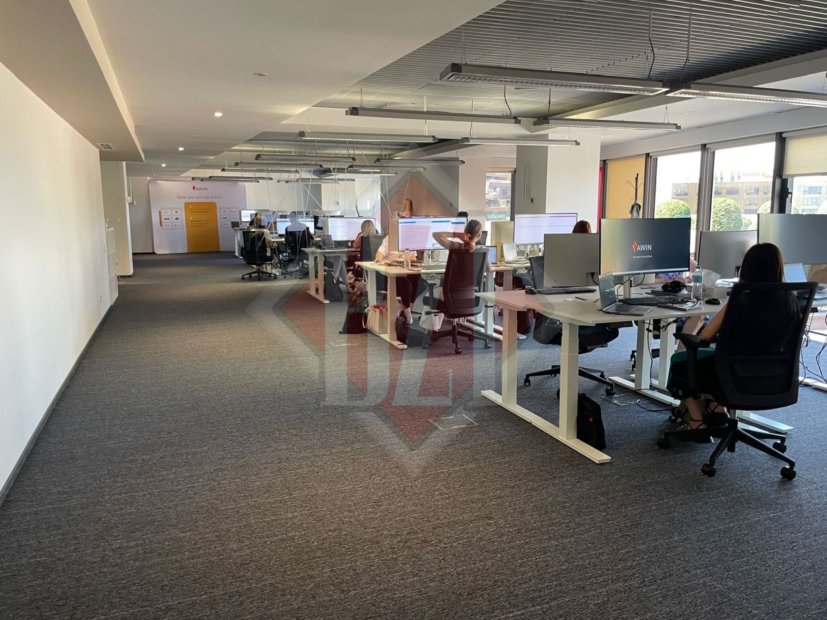 Germanii de la Awin Global se extind și fac recrutări la Iași