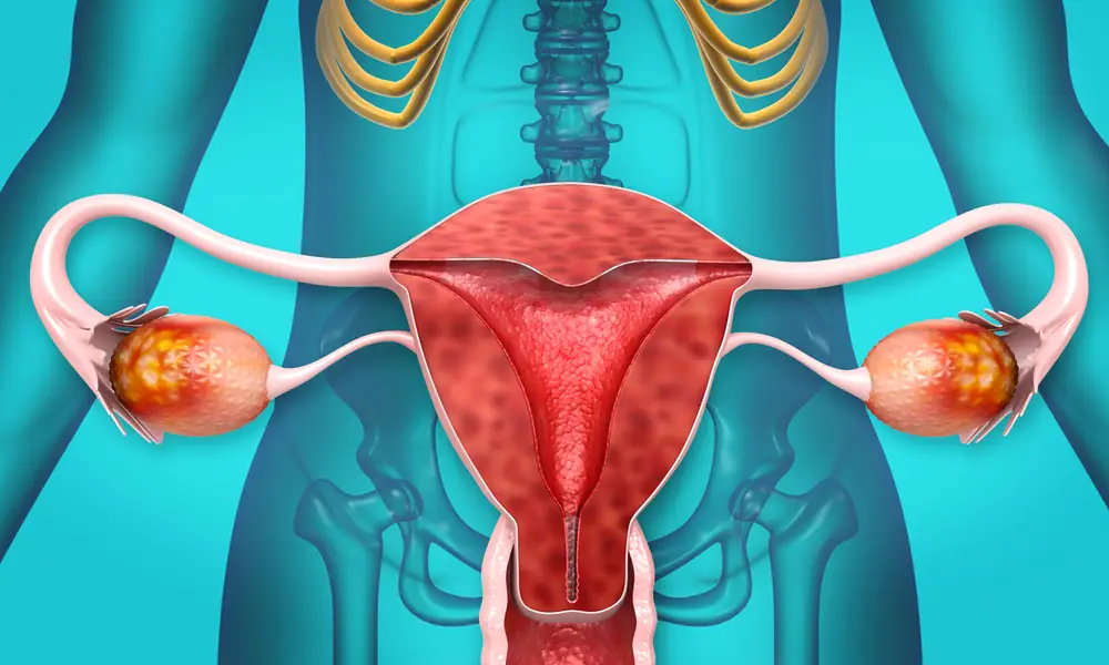Gerovital pastile menopauză: soluția naturală pentru echilibrul hormonilor la femei