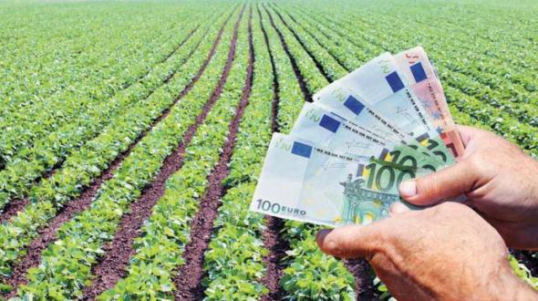 Ferma din România unde angajații câștigă până la 15.000 de lei pe lună: „Oamenii își merită banii”