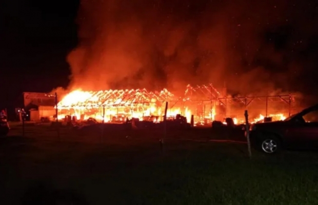 Incendiu devastator la o fermă de porci! Peste 600 de animale au pierit în flăcări