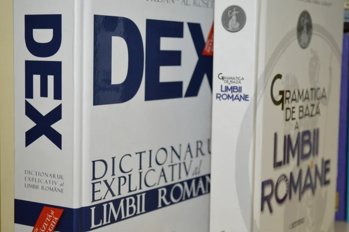 Visuri sau Vise: Cum se scrie corect?