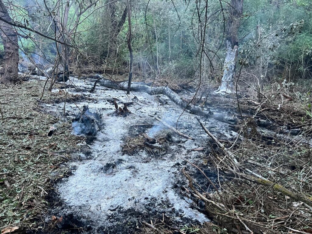 MAE l-a convocat pe însărcinatul cu afaceri al Ambasadei Federației Ruse la București după ce fragmente de dronă au fost identificate în județul Tulcea