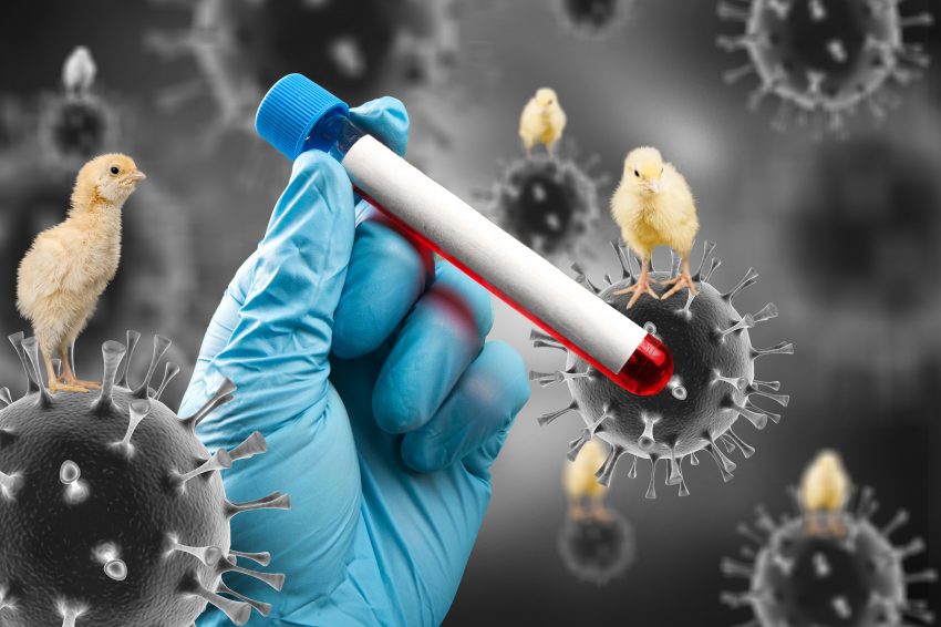 O nouă pandemie lovește lumea! Au început să cumpere milioane de doze de vaccinuri