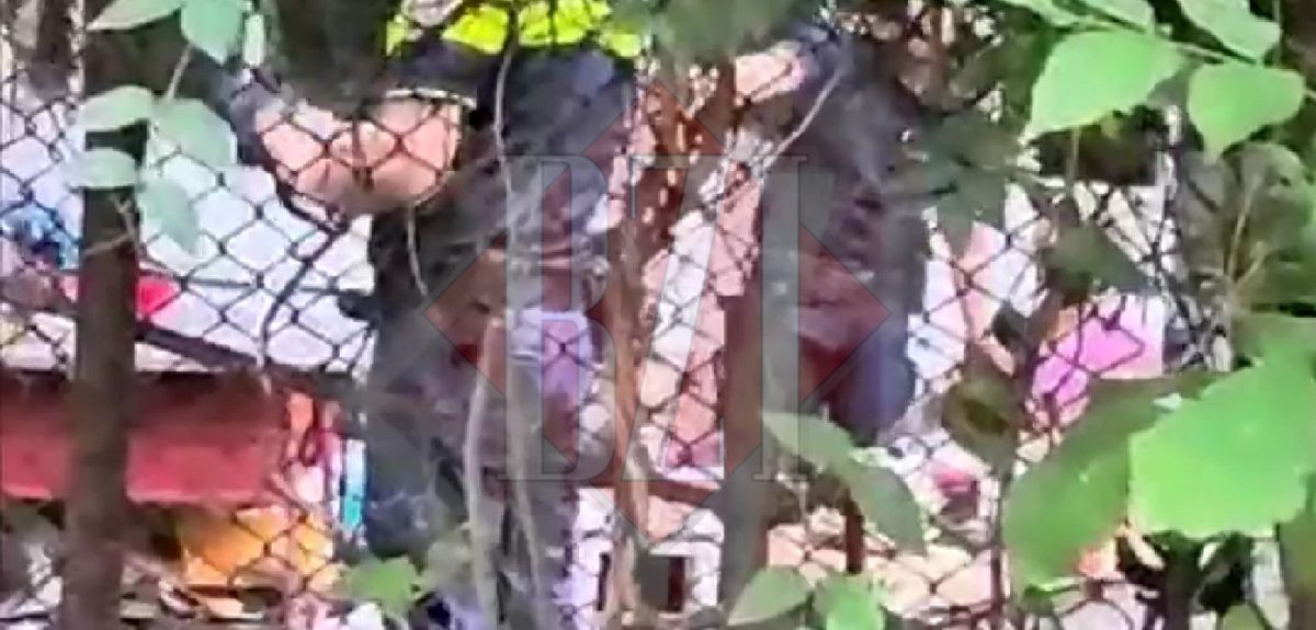 Scandal monstru în cartierul Alexandru! „Baba de la parter”, așa cum îi spun locatarii unei pensionare, a sărit la poliție cu un cuțit, după ce a furat o geantă din parc – EXCLUSIV