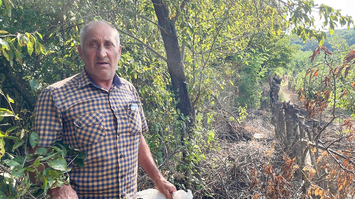 Scandal uriaș la Schitu Duca! Ce a pățit un bărbat după ce a plantat peste 500 de salcâmi. Nici lui nu i-a venit să creadă una ca asta