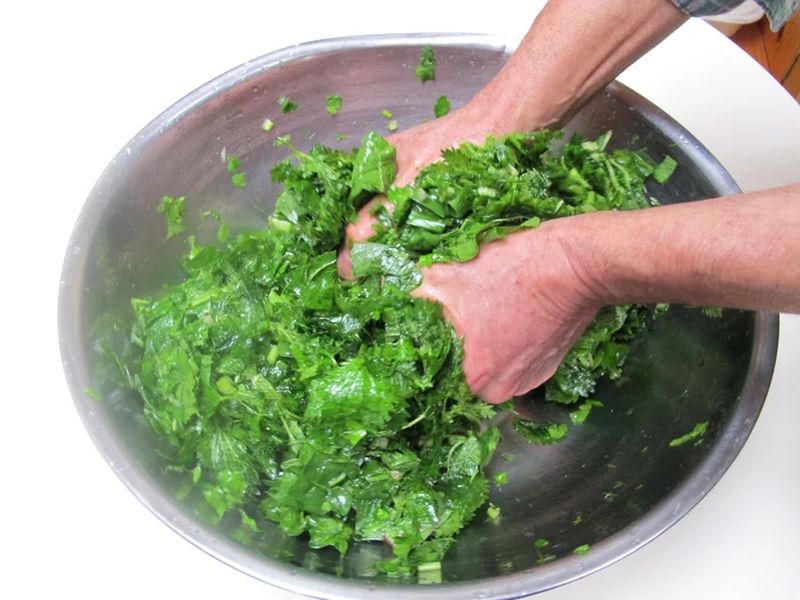 Șampon de urzică. Soluția miraculoasă pentru un păr sănătos și strălucitor