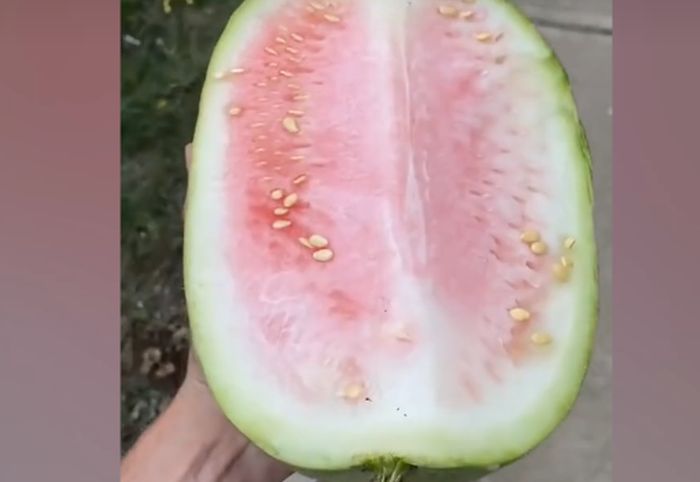 Un român s-a întors la supermarket, să-și ia banii pe un pepene necopt. Nu se aștepta la un asemenea răspuns