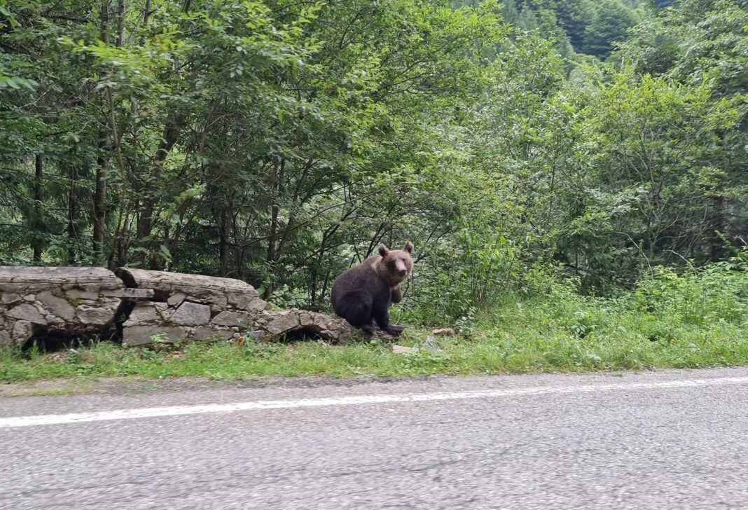Turiștii români care merg în vacanță trebuie să țină cont de noua lege! Se dau amenzi mari dacă fac asta