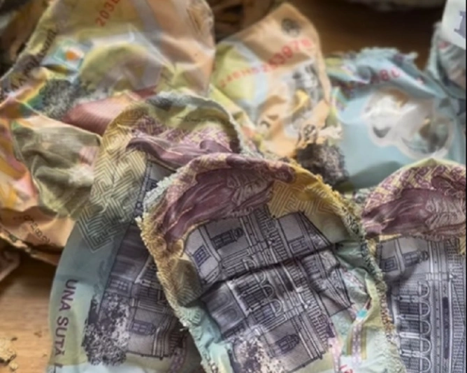 Iată unde să nu îți ții economiile! Un român a pierdut toți banii ascunși