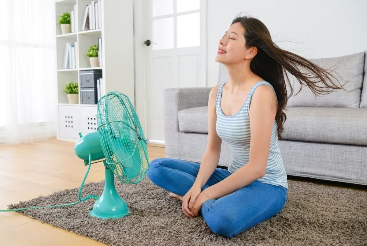 Unde pui ventilatorul pentru a răcori întreaga casă: Mulți români nu știu acest truc!