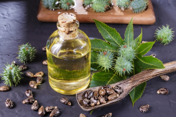 Compresele cu ulei de ricin – beneficii remarcabile pentru sănătate