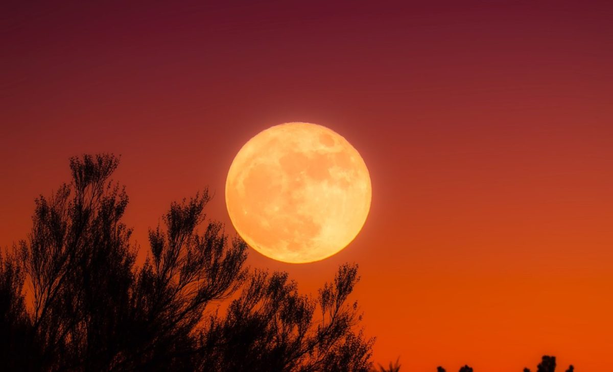 Care este diferența dintre lună nouă și lună plină și cum suntem influențați de cele două fenomene