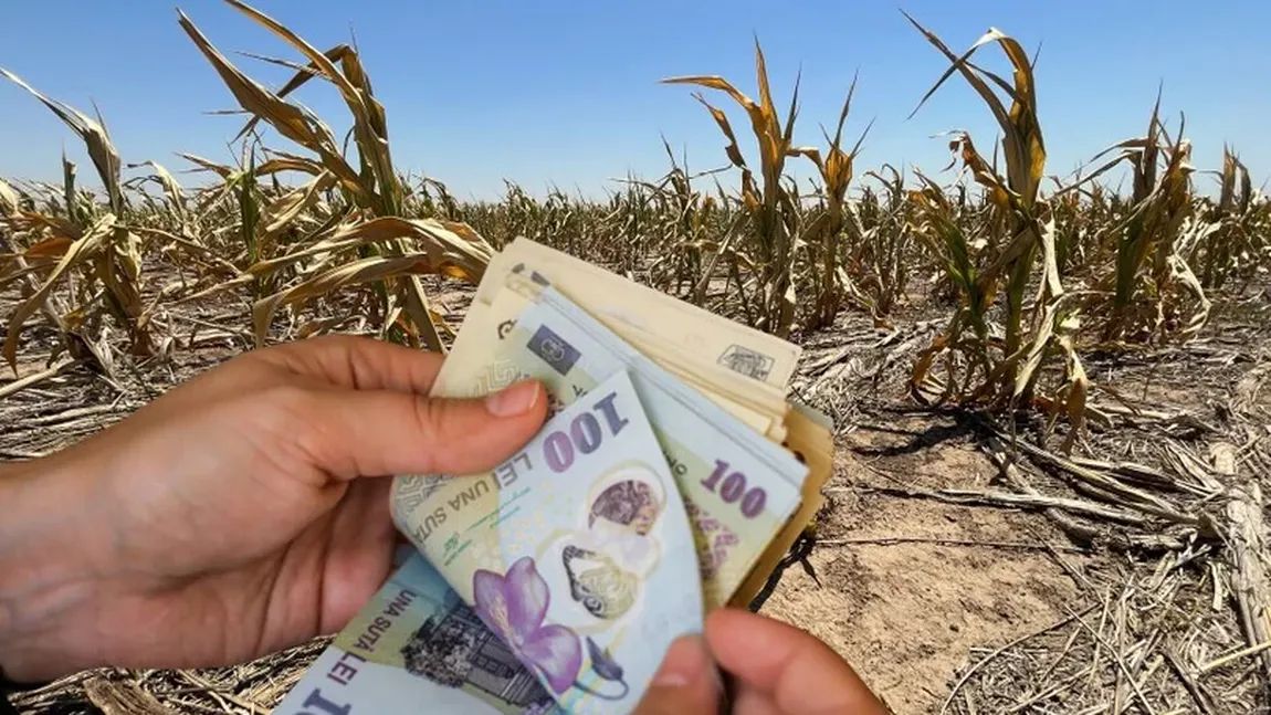 Românii primesc cel puțin 1.000 de lei! Când intră banii pe carduri și cine îi primește